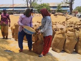 छत्तीसगढ़ में समर्थन मूल्य पर कल से शुरू होगी धान खरीदी, सीएम साय ने अफसरों के लिए जारी किए ये निर्देश 