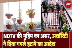 Noida में 'जानलेवा गमलों' को दीवार से हटाने का आदेश, NDTV ने चलाई थी 'बालकनी से गमले हटाओ' मुहिम Noida में 'जानलेवा गमलों' को दीवार से हटाने का आदेश, NDTV ने चलाई थी 'बालकनी से गमले हटाओ' मुहिम