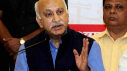 "Government With Forked Tongue": MJ Akbar Rips Into Pakistan In Copenhagen