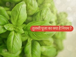 Tulsi puja niyam : मां तुलसी की इस तरीके से करिए पूजा, सारी मनोकामनाएं होंगी पूरी