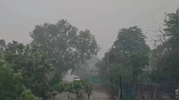 MP Weather : मध्य प्रदेश में&nbsp;अचानक बदला मौसम, भोपाल में चली तेज आंधी, इन जिलों में बारिश की संभावना