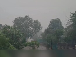 MP Weather : मध्य प्रदेश में अचानक बदला मौसम, भोपाल में चली तेज आंधी, इन जिलों में बारिश की संभावना MP Weather : मध्य प्रदेश में अचानक बदला मौसम, भोपाल में चली तेज आंधी, इन जिलों में बारिश की संभावना