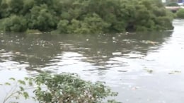82% Of Pre-Monsoon Silting Done In Mumbai, 61% In Mithi River Amid Scam Probe