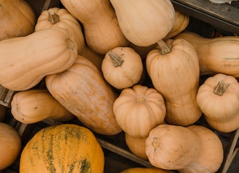 6 Types Of Gourds That Are A Must In Summer 6 Types Of Gourds That Are A Must In Summer
