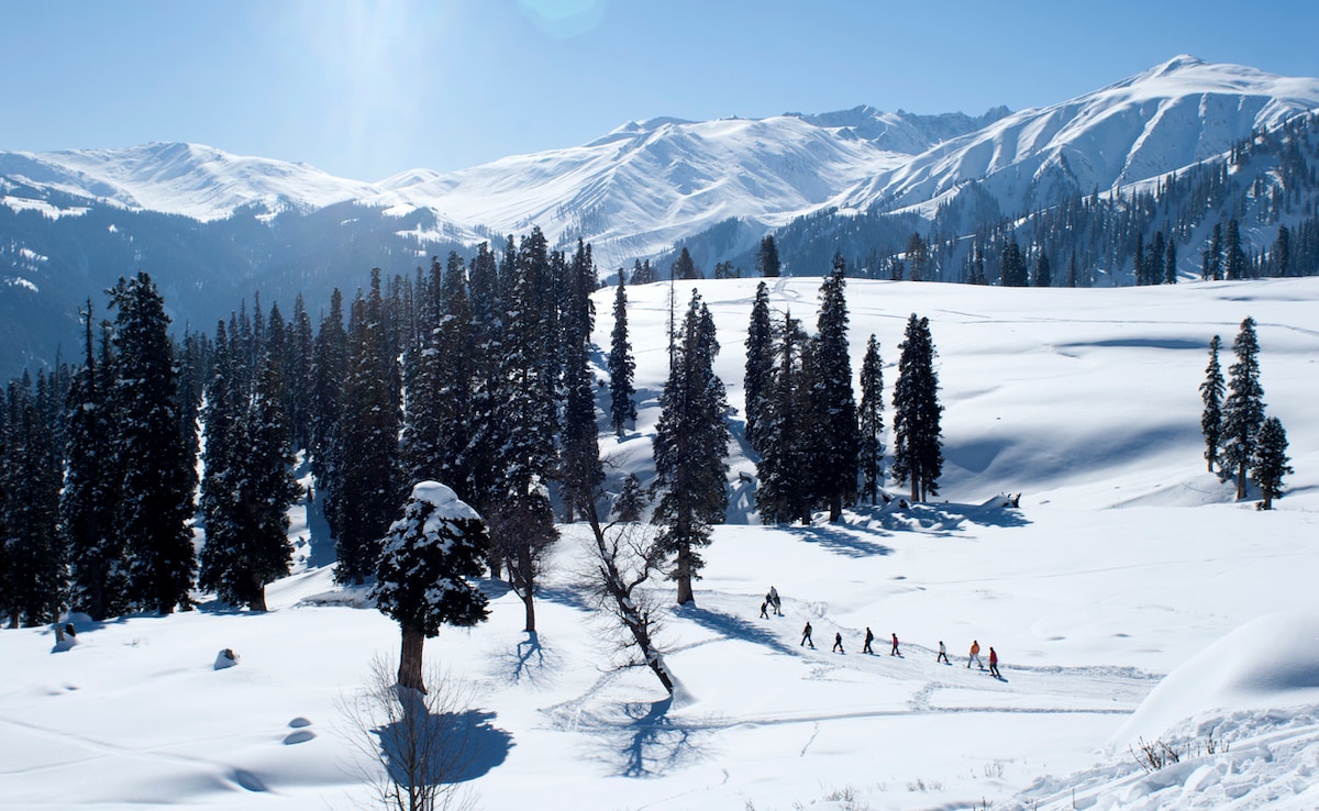 Photo: iStock Photo: iStock