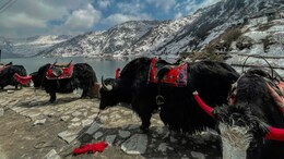 7 Breathtaking Places In Sikkim You Absolutely Can't Miss