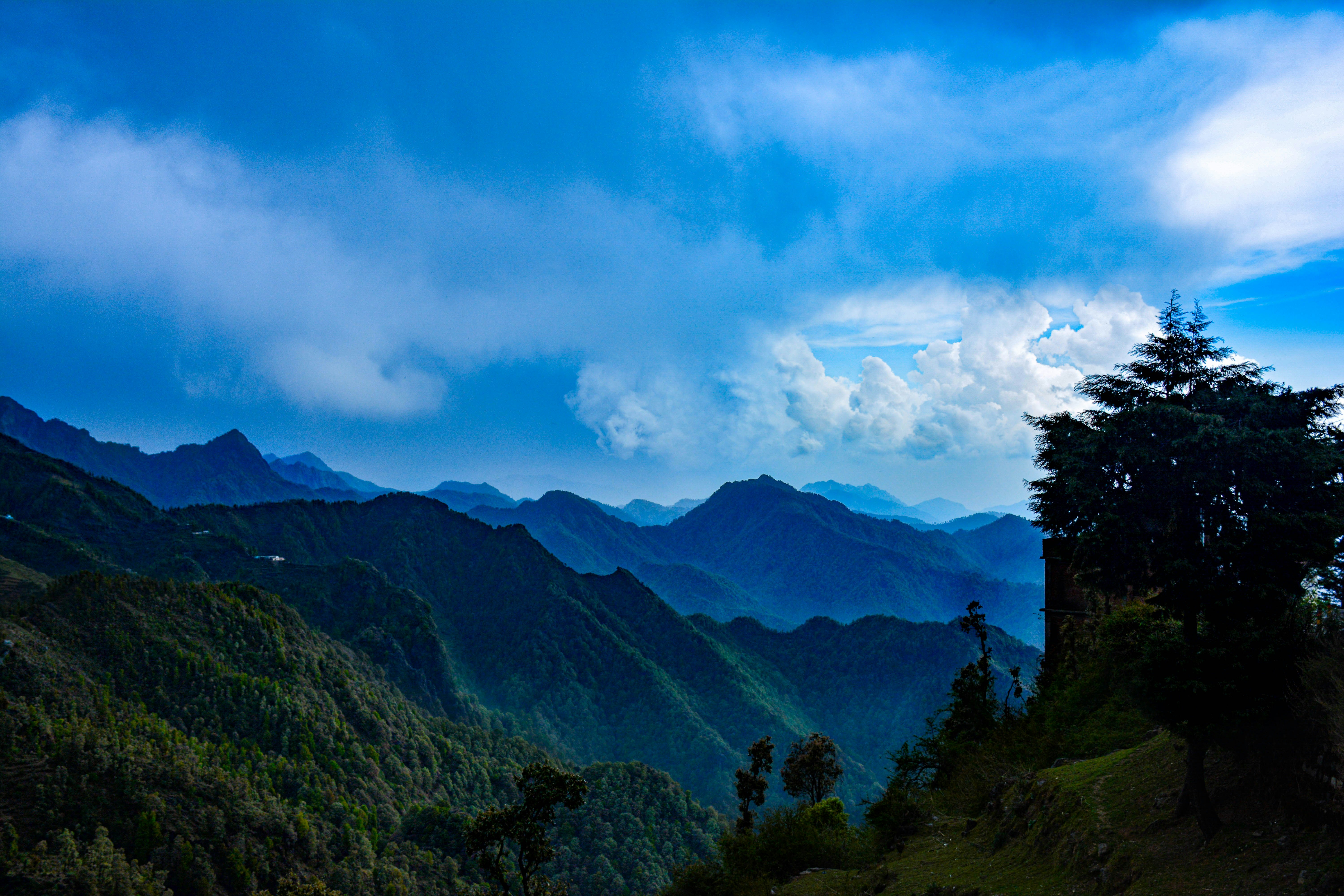 Ziro Valley. Photo: Unsplash Ziro Valley. Photo: Unsplash