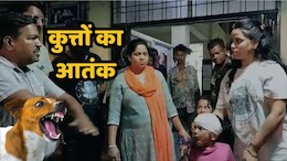 Dog Bite: आवारा कुत्तों ने यहां पांच बच्चों को नोच-नोचकर किया घायल, एमपी में नहीं थम रहा का आतंक