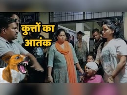Dog Bite: आवारा कुत्तों ने यहां पांच बच्चों को नोच-नोचकर किया घायल, एमपी में नहीं थम रहा का आतंक