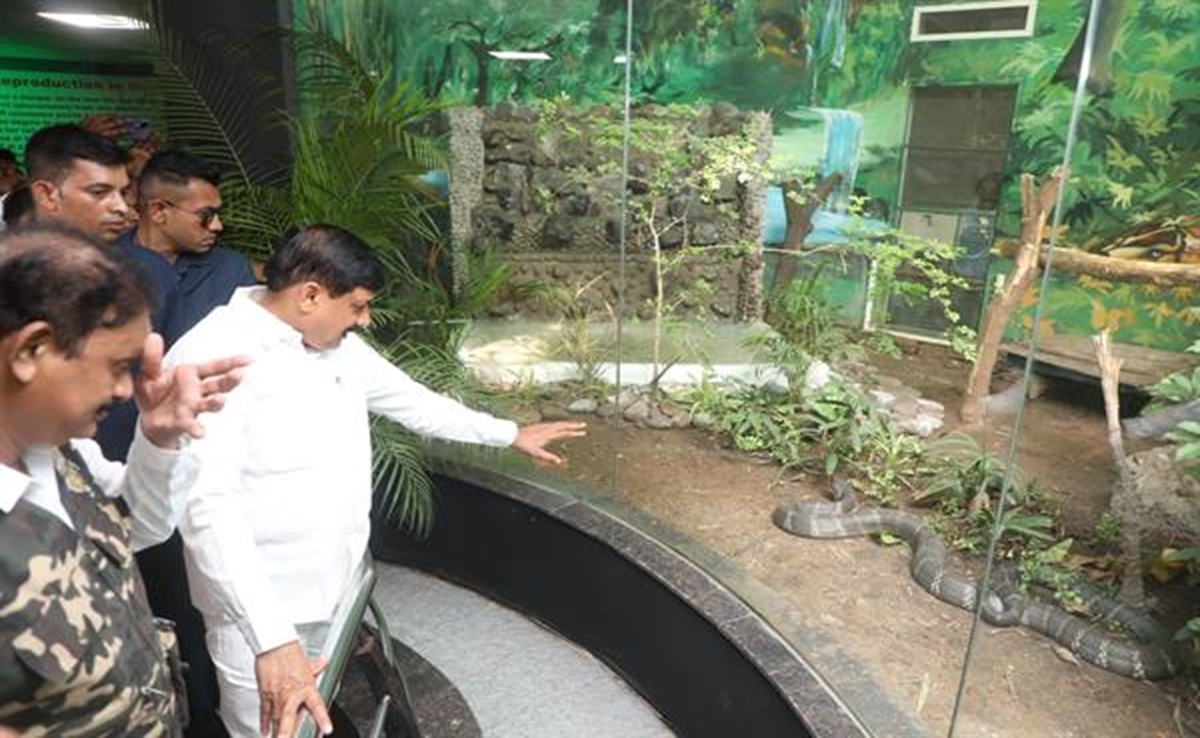King Cobra: इंदौर को किंग कोबरा की सौगात! स्नैक पार्क और बर्ड पार्क में CM मोहन का दिखा ऐसा अंदाज