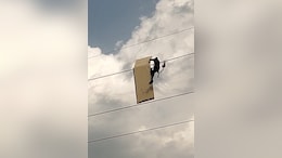 Video: Man Takes Down Signboard Stuck On High-Tension Wire In Noida