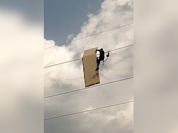 Video: Man Takes Down Signboard Stuck On High-Tension Wire In Noida