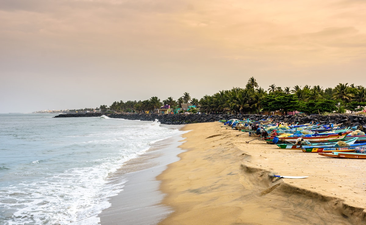 Photo: iStock Photo: iStock