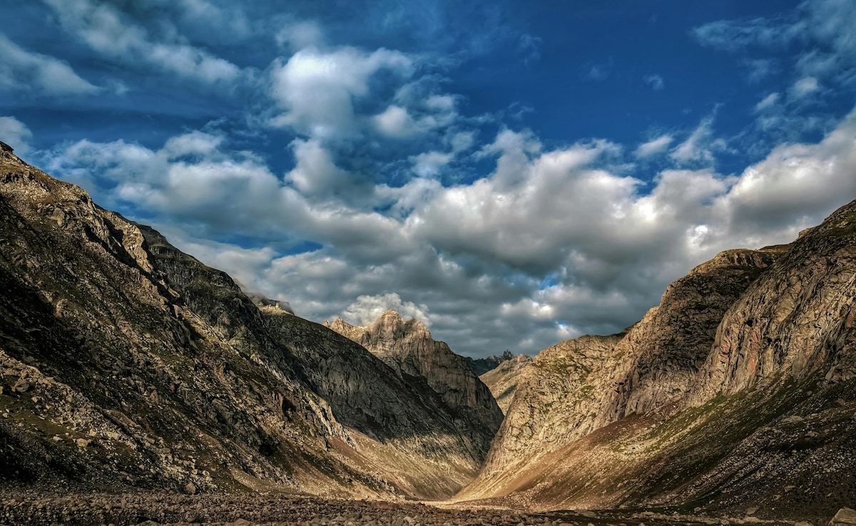 Pangi. Photo: Pexels Pangi. Photo: Pexels