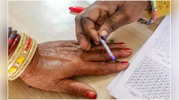 Fake Bihar Poll Officials Ask Woman To Take Off Chain For Pic, Flee With It