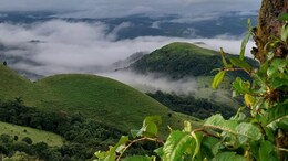 5 Cool Things To Do In Coorg For The Perfect Summer Vacation