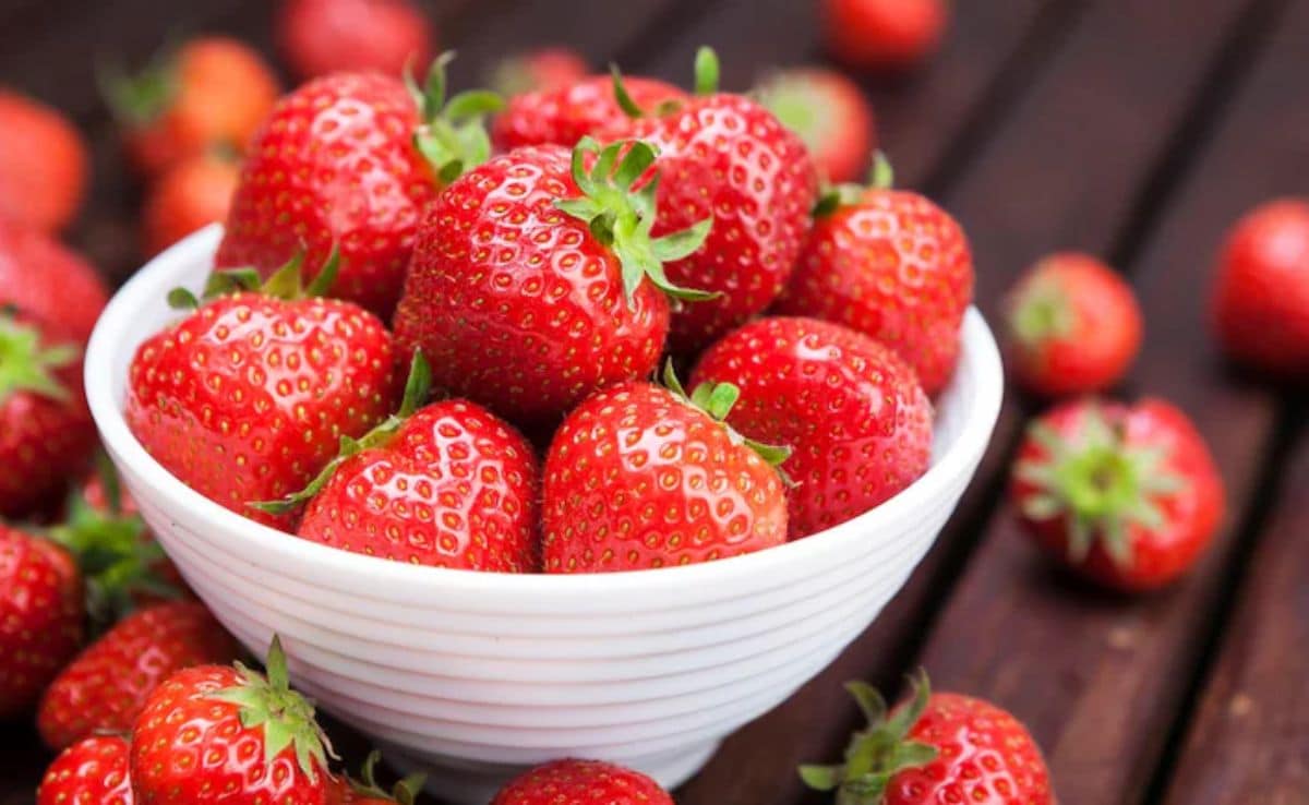 Latest and Breaking News on NDTV Latest and Breaking News on NDTV