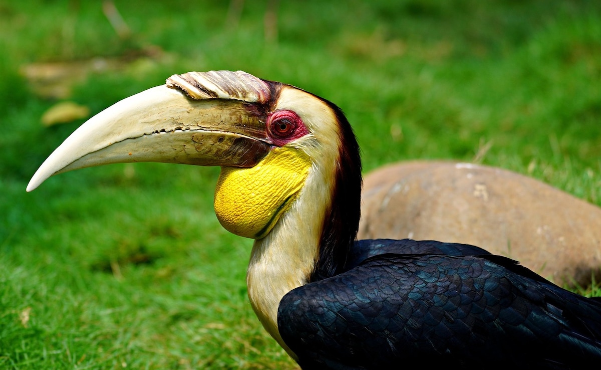 Photo: Pixabay Photo: Pixabay