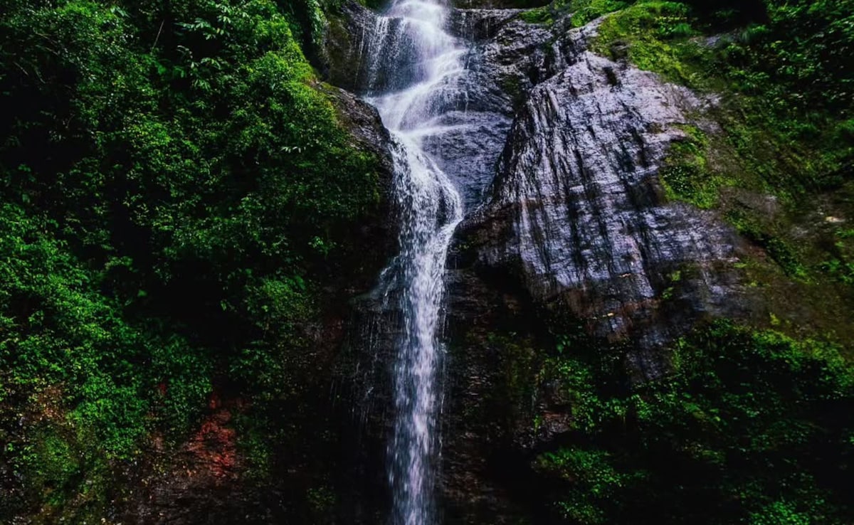 Chadwick Falls. Photo: Instagram/the_diary_of_a_solivagant