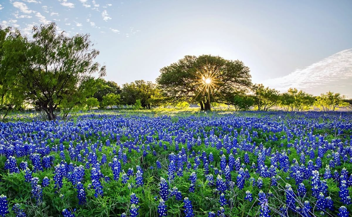 Texas Hill Country. Photo: Instagram/thomasdmangelsen Texas Hill Country. Photo: Instagram/thomasdmangelsen