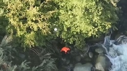 Video: Man Who Allegedly Helped Terrorists In J&K Jumps Into River, Drowns