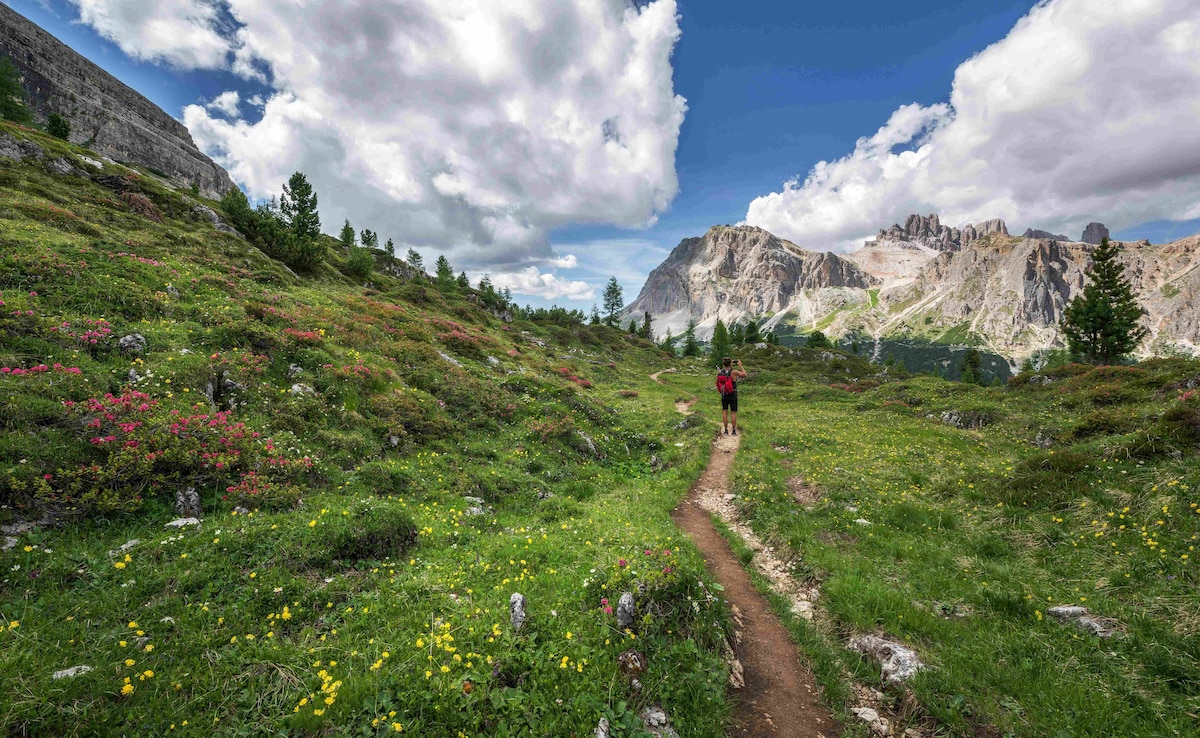 Photo: Unsplash Photo: Unsplash