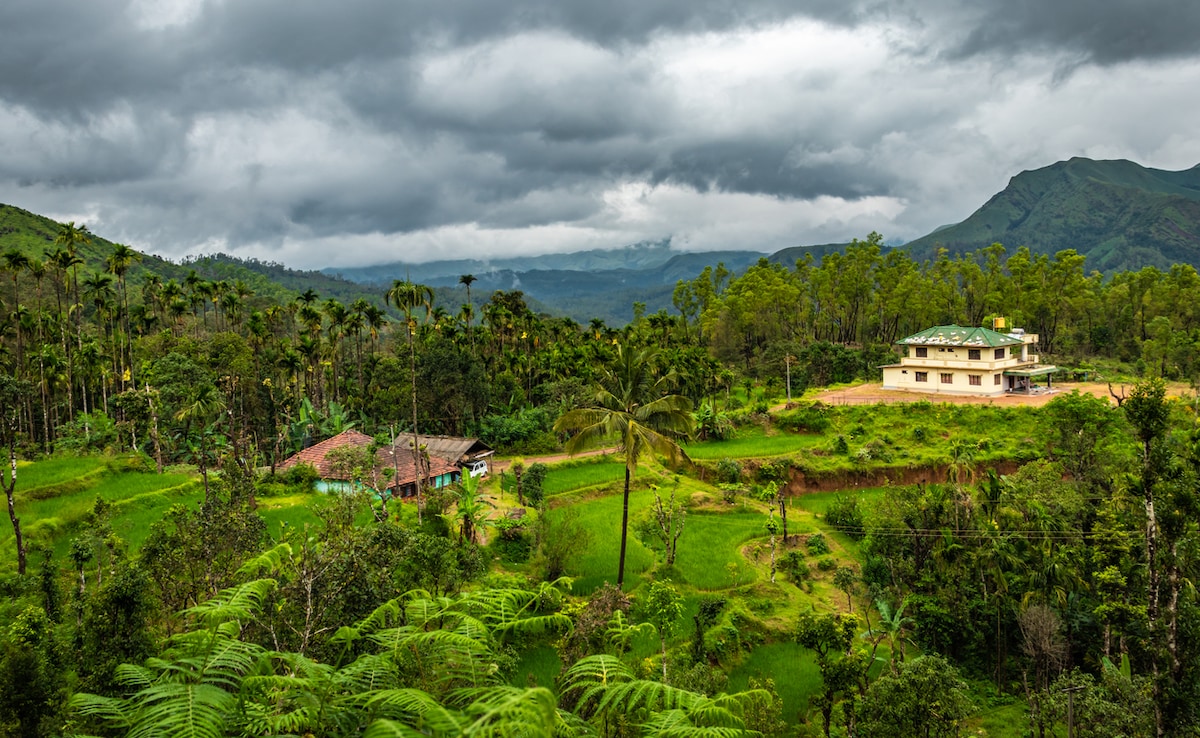 Photo: iStock Photo: iStock
