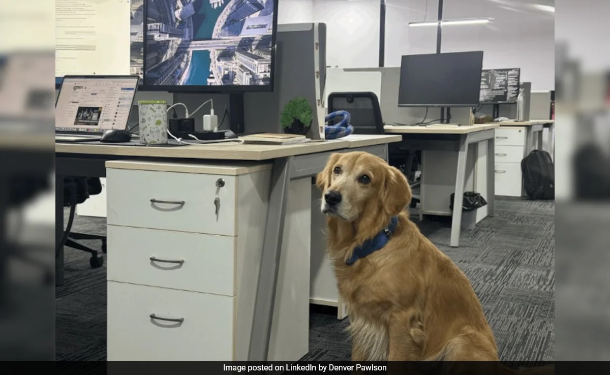 Бързо четене Резюме е генериран от AI прегледано Newsroom Стартирането