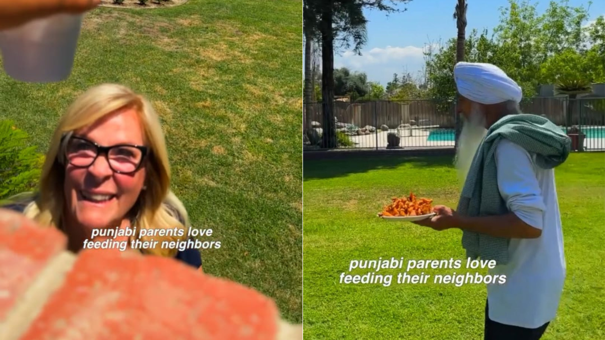 "What Community Is All About" - Punjabi Couple Makes Pakoras For Their Neighbour Abroad, Win Hearts Online