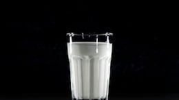 PETA Demands Renaming World Milk Day To 'Bovine Mammary Secretion Day'