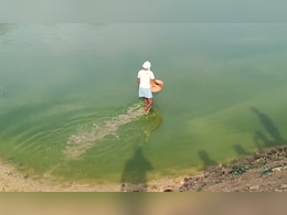 भारत के इस शहर में एशिया का सबसे बड़ा मछली पालन केंद्र, हर साल तैयार हो रहे 42 करोड़ स्पाम