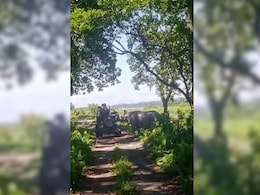 Video: Rhino Charges At Tourists' Jeep At Assam National Park Video: Rhino Charges At Tourists' Jeep At Assam National Park