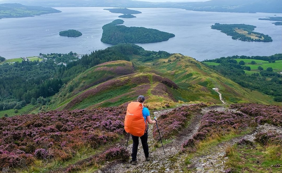 Photo: Instagram/itspaulkelly