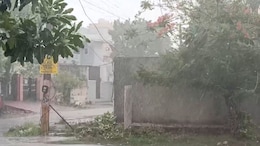 Weather Alert: पश्&zwj;च&zwj;िमी व&zwj;िक्षोभ का असर खत्&zwj;म, बार&zwj;िश ने गर्मी से द&zwj;िलाई राहत&nbsp;