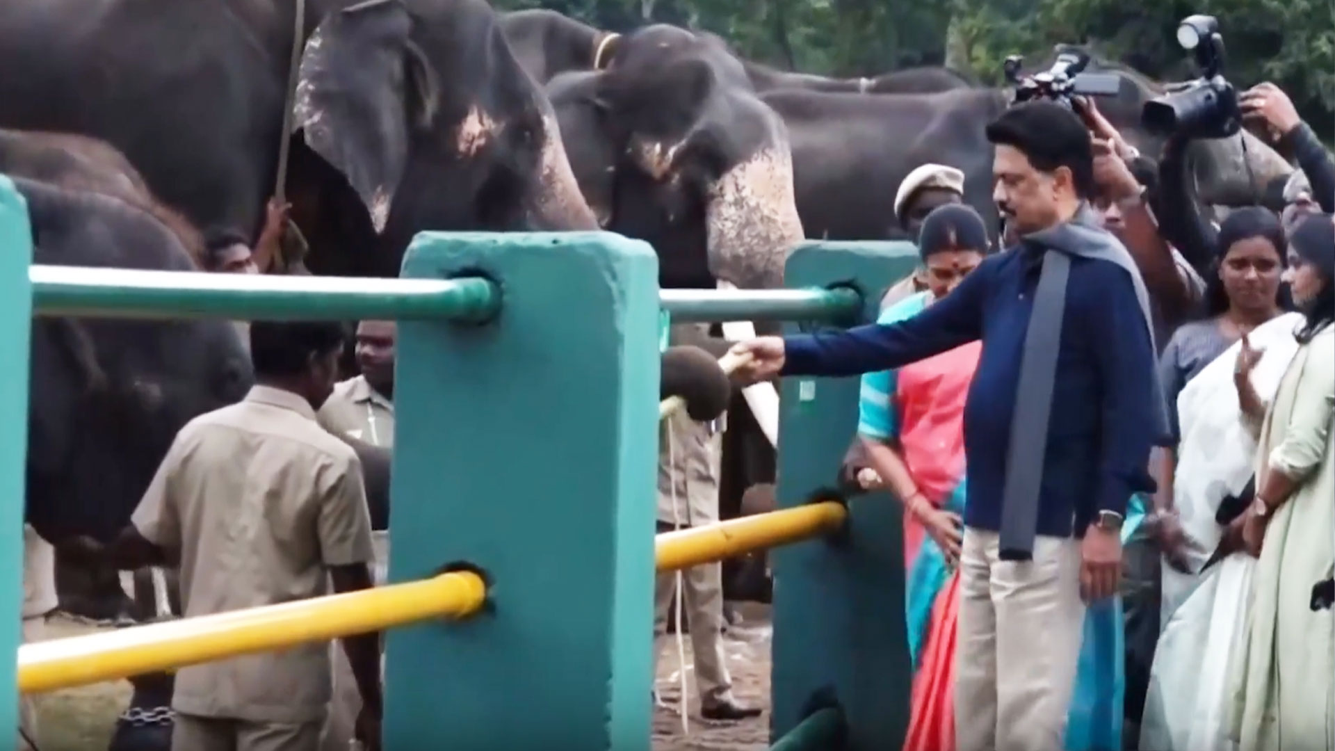 Tamil Nadu CM MK Stalin Offers Sugarcanes To Elephants In Theppakadu Camp