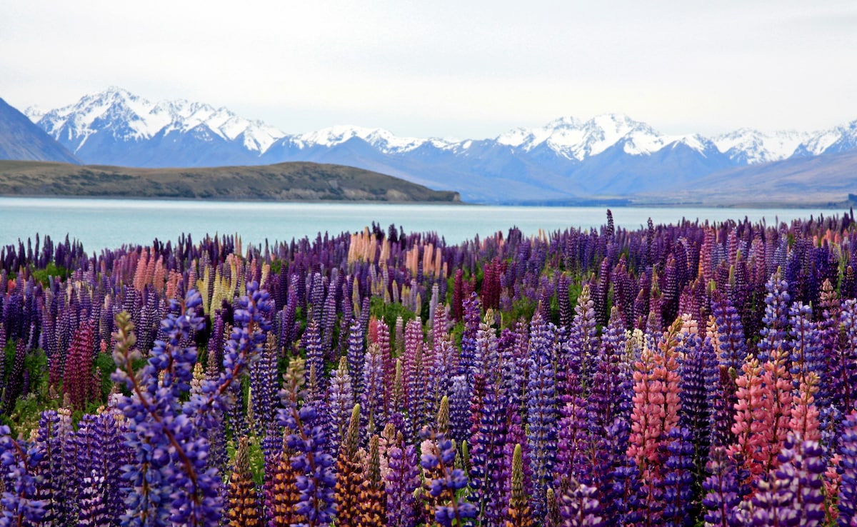 Lake Tekapo. Photo: Unsplash Lake Tekapo. Photo: Unsplash