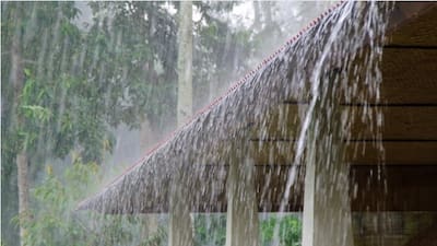 १७ ऑगस्टपर्यंत राज्यात मुसळधार पावसाचा इशारा; कोकण, मध्य महाराष्ट्र आणि विदर्भात अतिवृष्टीची शक्यता