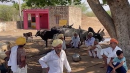 जालौर में पेयजल संकट, पानी के इंतजार में आम लोगों के साथ पशुपालक भी प्रभावित