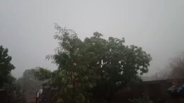 Weather Alert: राजस्&zwj;थान में ओले के साथ मूसलाधार बार&zwj;िश, मौसम व&zwj;िभाग की नई भव&zwj;िष्&zwj;यवाणी&nbsp;