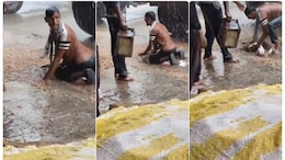 Video: Farmer's Desperate Bid To Save Crop Amid Rain, Then A Call By Union Minister