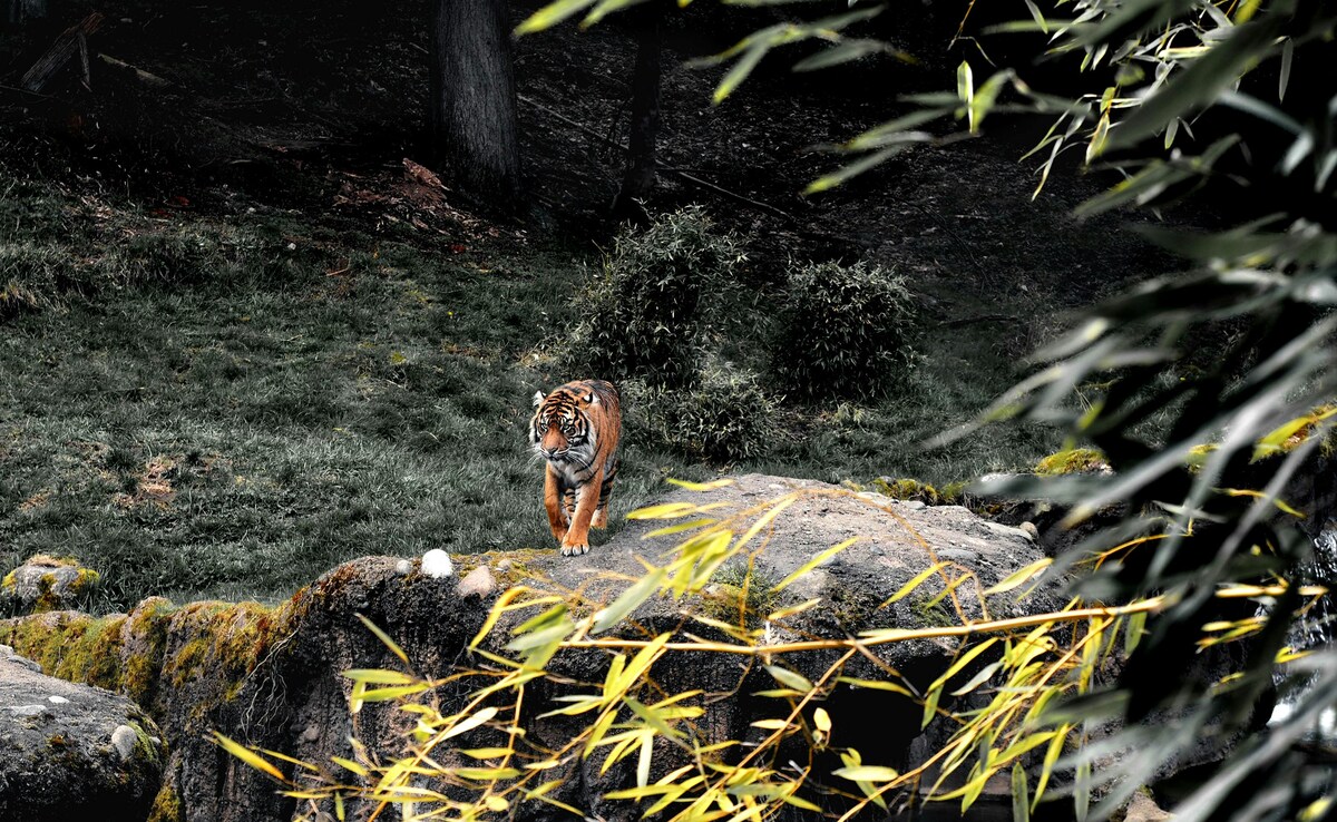 Има нещо много вълнуващо в това да се насочите към