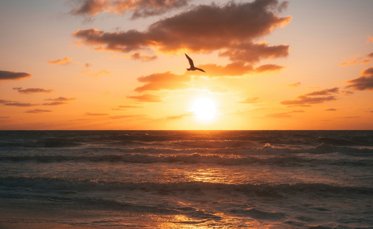 Photo: Unsplash Photo: Unsplash