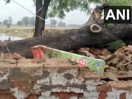 दिल्ली के द्वारका में बड़ा हादसा, बारिश के कारण घर पर गिरा पेड़, तीन बच्चों समेत चार की मौत दिल्ली के द्वारका में बड़ा हादसा, बारिश के कारण घर पर गिरा पेड़, तीन बच्चों समेत चार की मौत