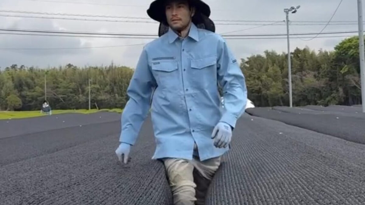 Matcha Farmer Shares Daily Life, Wins Hearts Online