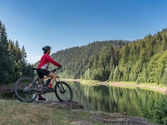 Cycling And Brain Health: A Review Finds It May Sharpen The Mind