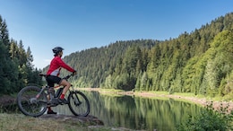 Cycling And Brain Health: A Review Finds It May Sharpen The Mind