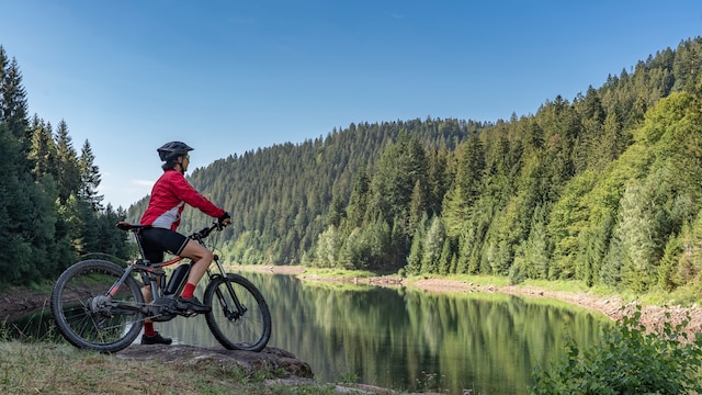Cycling may improve brain function and improve social connections
