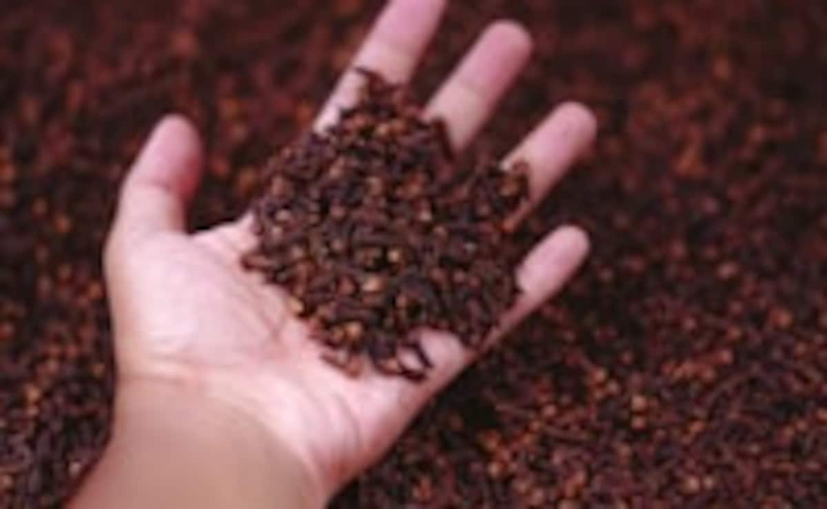 चली गयी ठण्ड, आ गयी गर्मी, यहाँ जान लें क्या खाने से ठंडा रहेगा तन और मन, कैसे लौंग देगी फायदा