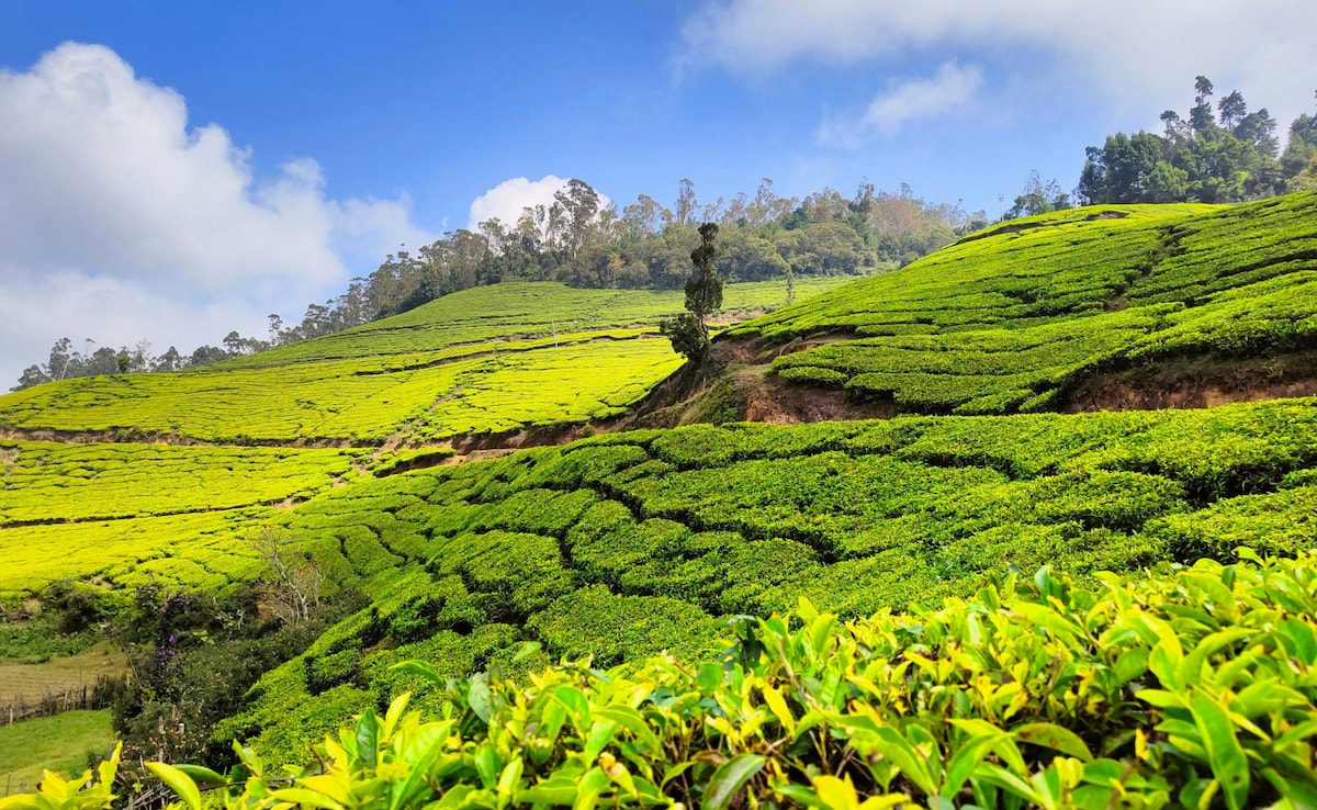 Photo: Unsplash Photo: Unsplash