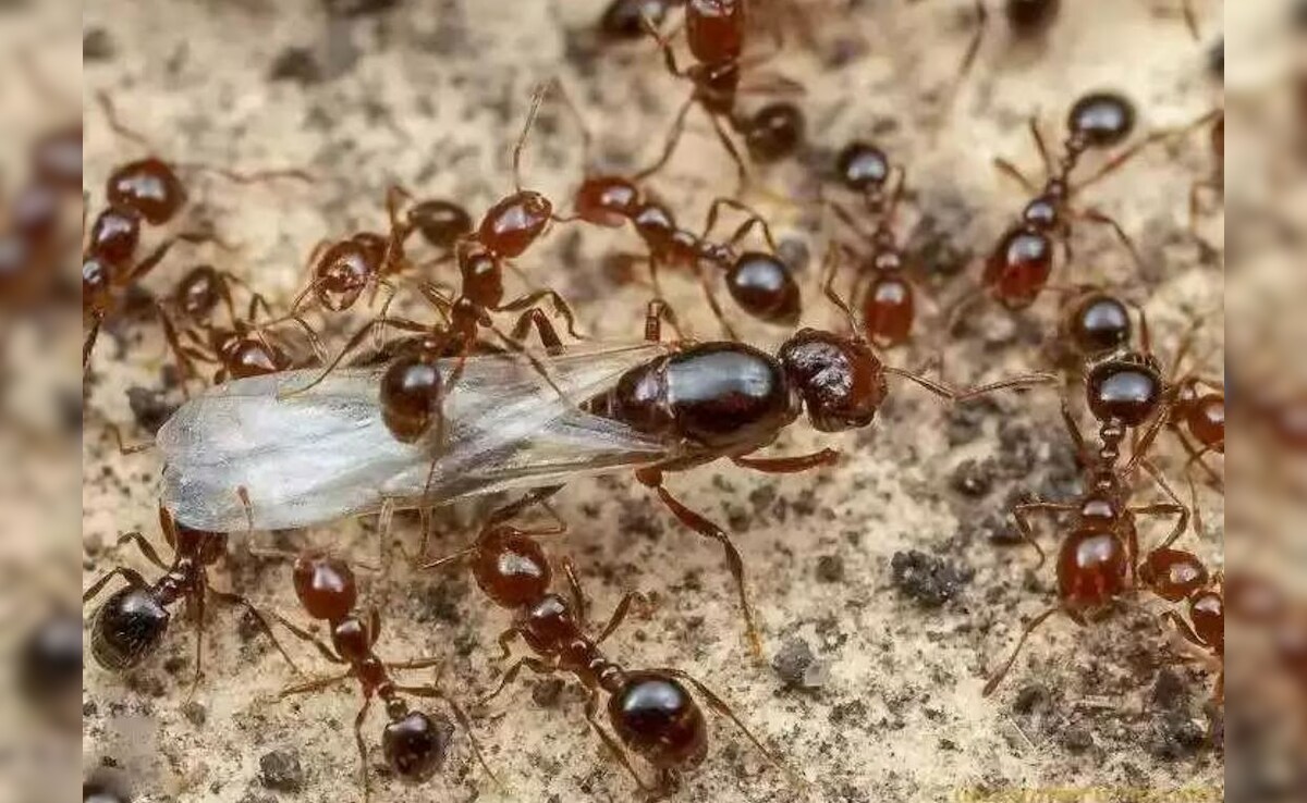 Latest and Breaking News on NDTV Latest and Breaking News on NDTV